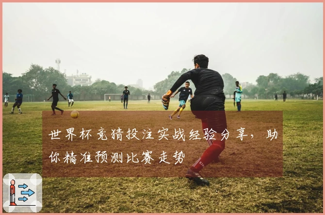 世界杯竞猜投注实战经验分享，助你精准预测比赛走势